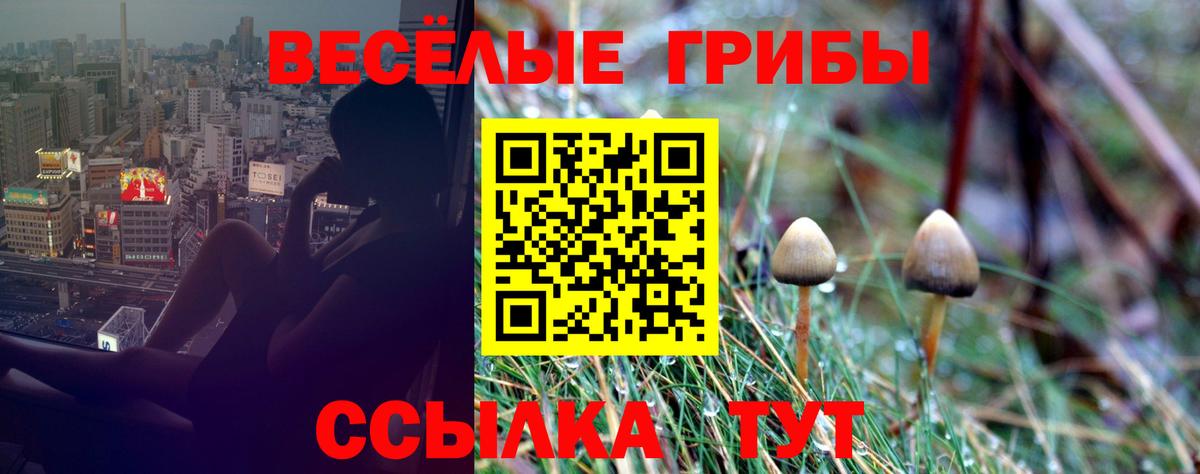что такое наркотик  Галлюциногенные грибы GOLDEN TEACHER  Вход с VPN  Слободской 